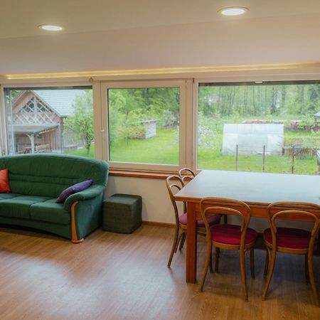 شقة Country Retreat, Near Ljubljana City, Apartma Na Vasi, Blizu Mesta Ljubljana ميدفودِ المظهر الخارجي الصورة