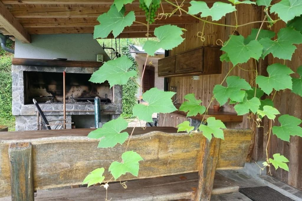 شقة Country Retreat, Near Ljubljana City, Apartma Na Vasi, Blizu Mesta Ljubljana ميدفودِ المظهر الخارجي الصورة